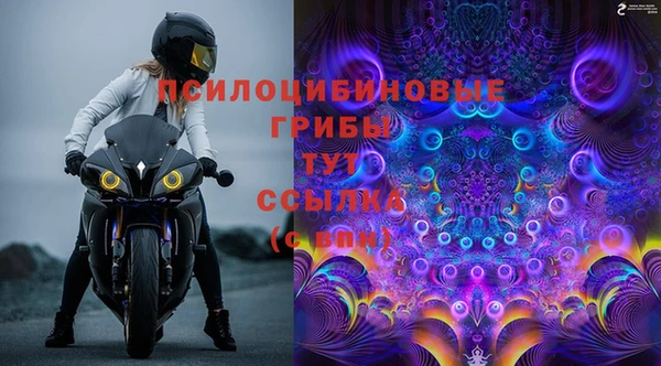 каннабис Осташков