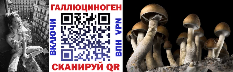 Галлюциногенные грибы Magic Shrooms  МЕГА как войти  Остров 