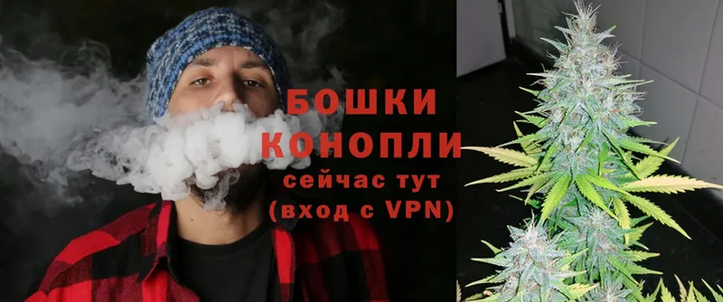 Бошки марихуана OG Kush  Остров 